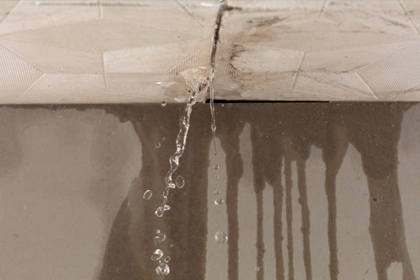 Professional Flood Damage Cleanup technician working in Flora, IL